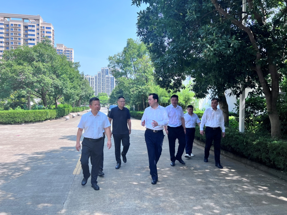 1723099694273461.jpg 2.jpg